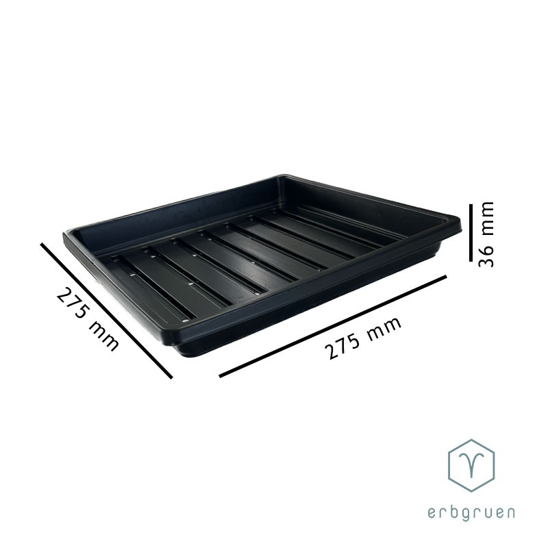 Anzuchtschale "1010" Microgreens Tray - mit Löcher – Bild 4