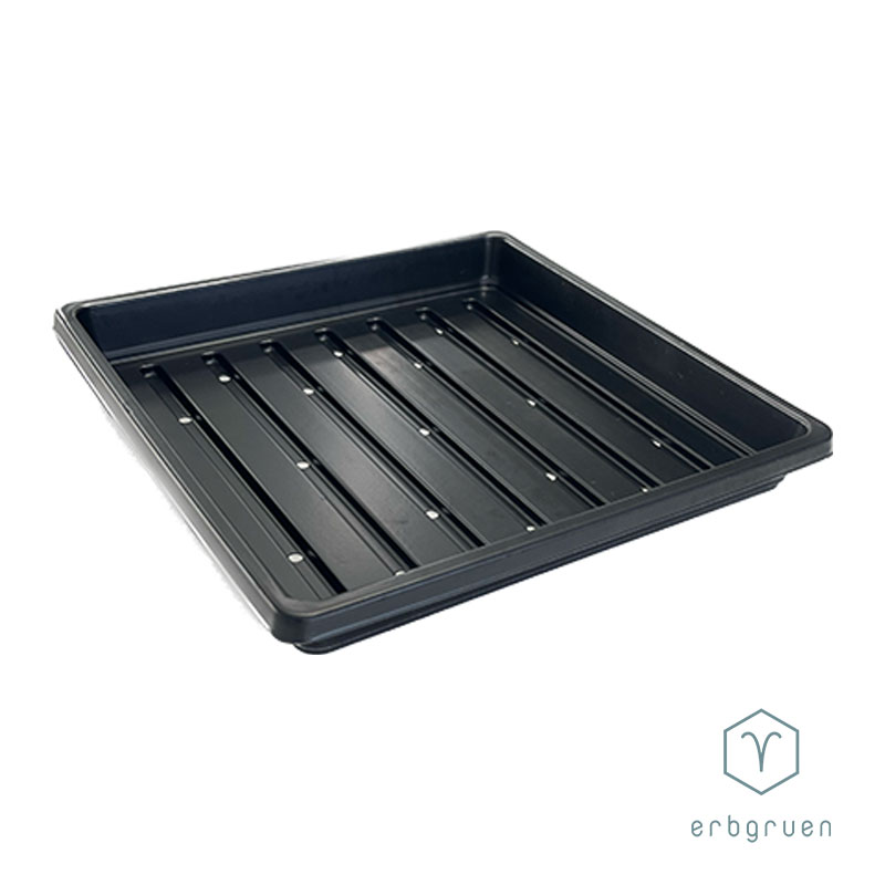 Anzuchtschale "1010" Microgreens Tray - mit Löcher – Bild 3