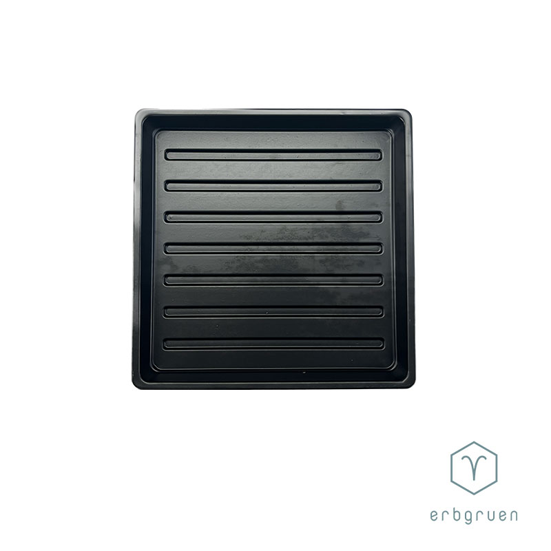 Anzuchtschale "1010" Microgreens Tray - ohne Löcher – Bild 3