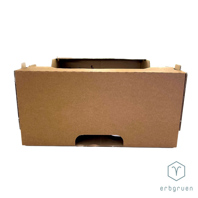 Kartonsteige für Microgreens – Bild 5