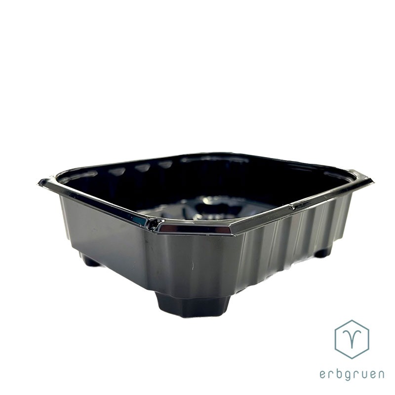 PET Anzuchtschale „45“ Microgreens Tray – ohne Löcher