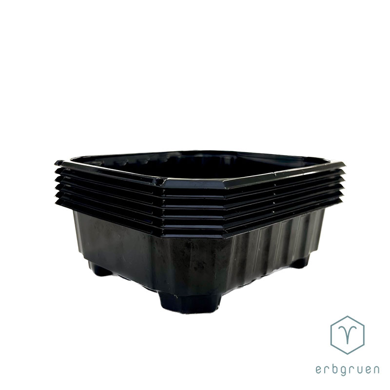 PET Anzuchtschale "45" Microgreens Tray - mit Löcher – Bild 6