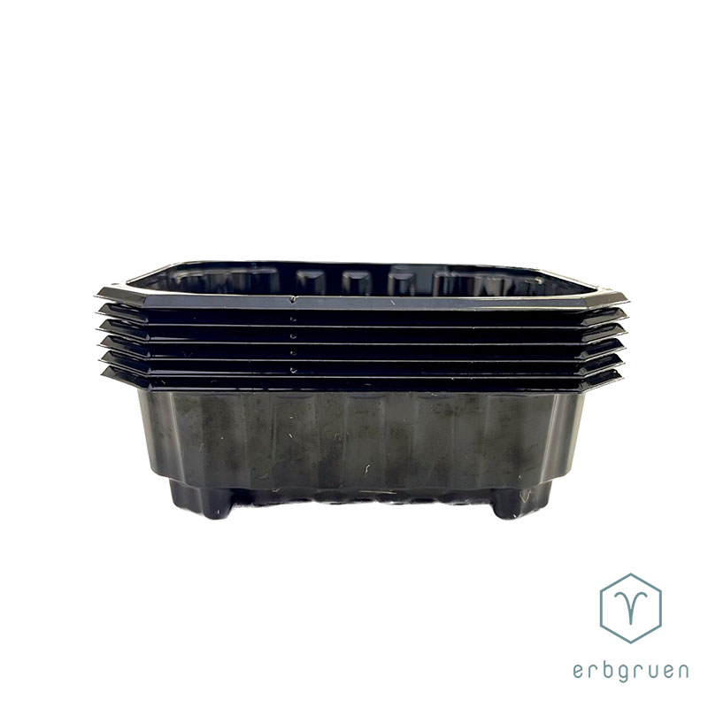 PET Anzuchtschale "45" Microgreens Tray - mit Löcher – Bild 5