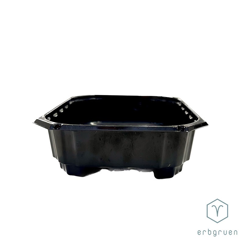 PET Anzuchtschale "45" Microgreens Tray - mit Löcher – Bild 4