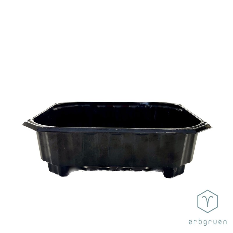 PET Anzuchtschale "45" Microgreens Tray - mit Löcher – Bild 3