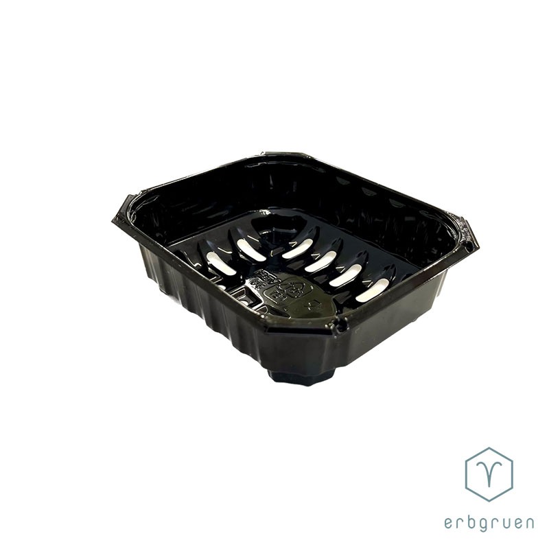 PET Anzuchtschale „45“ Microgreens Tray – mit Löcher