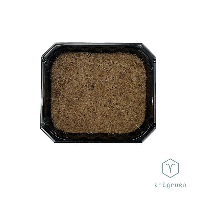 Kokosfaser Matte "45" Anzuchtvlies - 800g – Bild 3