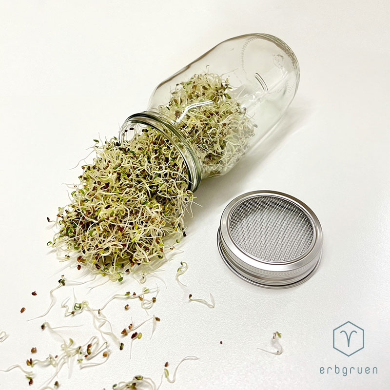 erbgruen Sprossenglas - Large – Bild 5